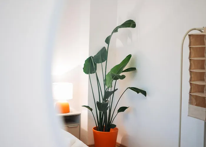 Hidden Tiny Near Center & The Mosel River Apartment *